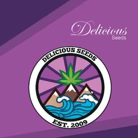 Delicious Seeds